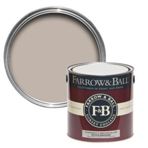 Elephants Breath No.229, Farrow and Ball