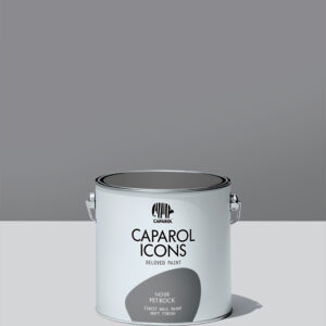 No.08 - Pet Rock, Caparol ICONS